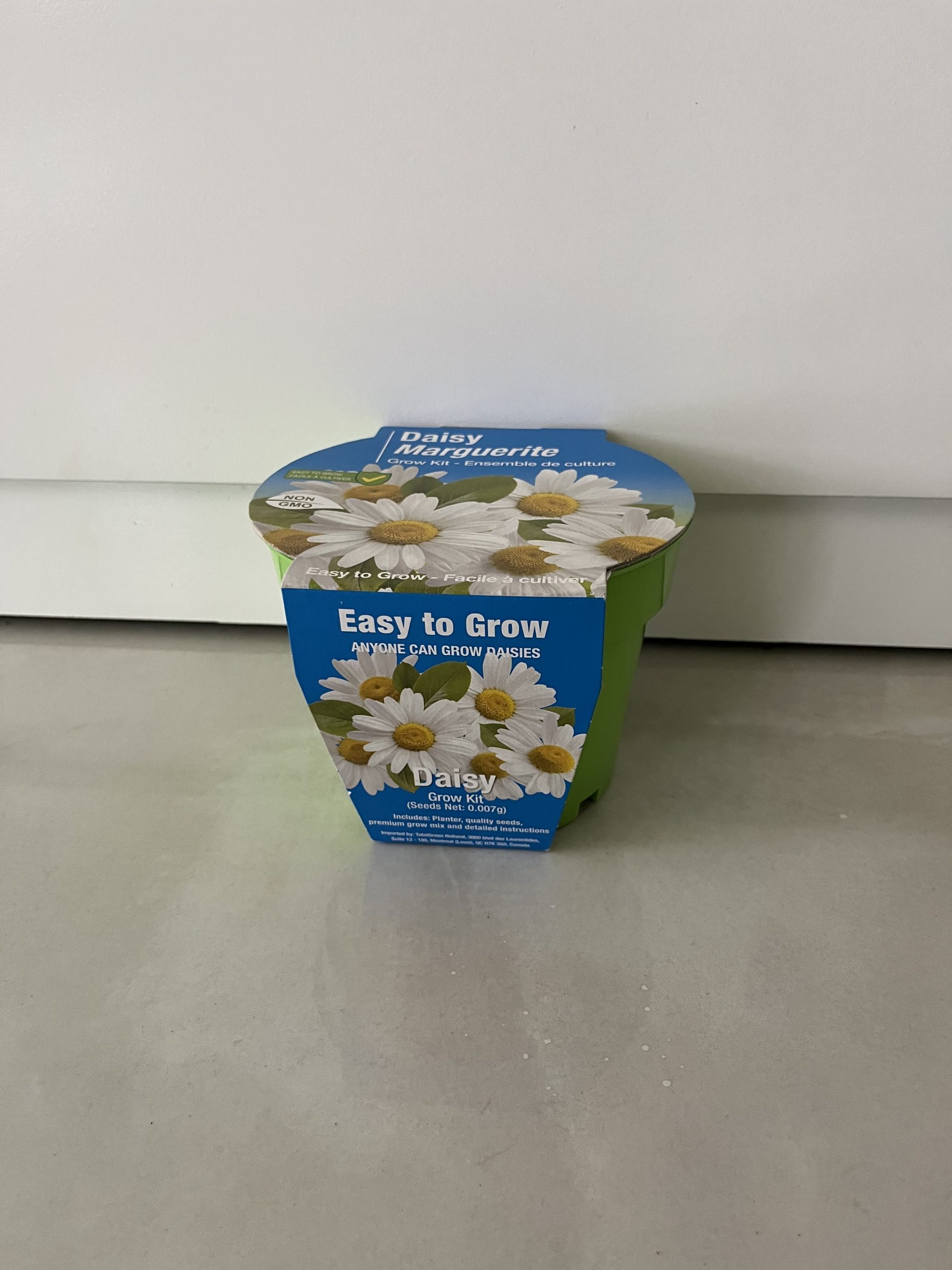 daisy grow kit Coref Gardens